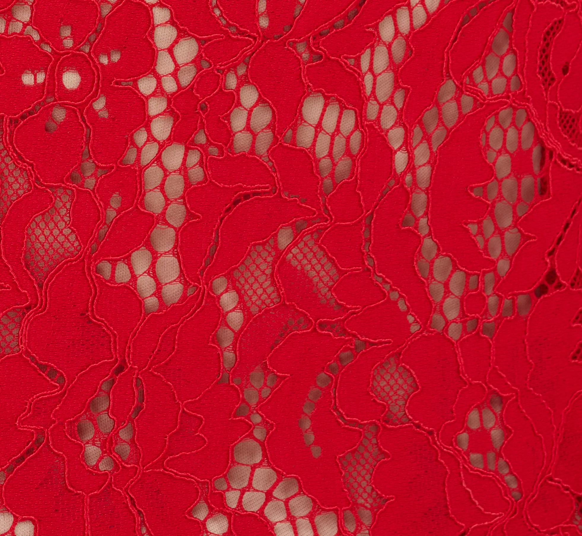 Cap Sleeve Lace Midi Dress In Red Nude - Image 7