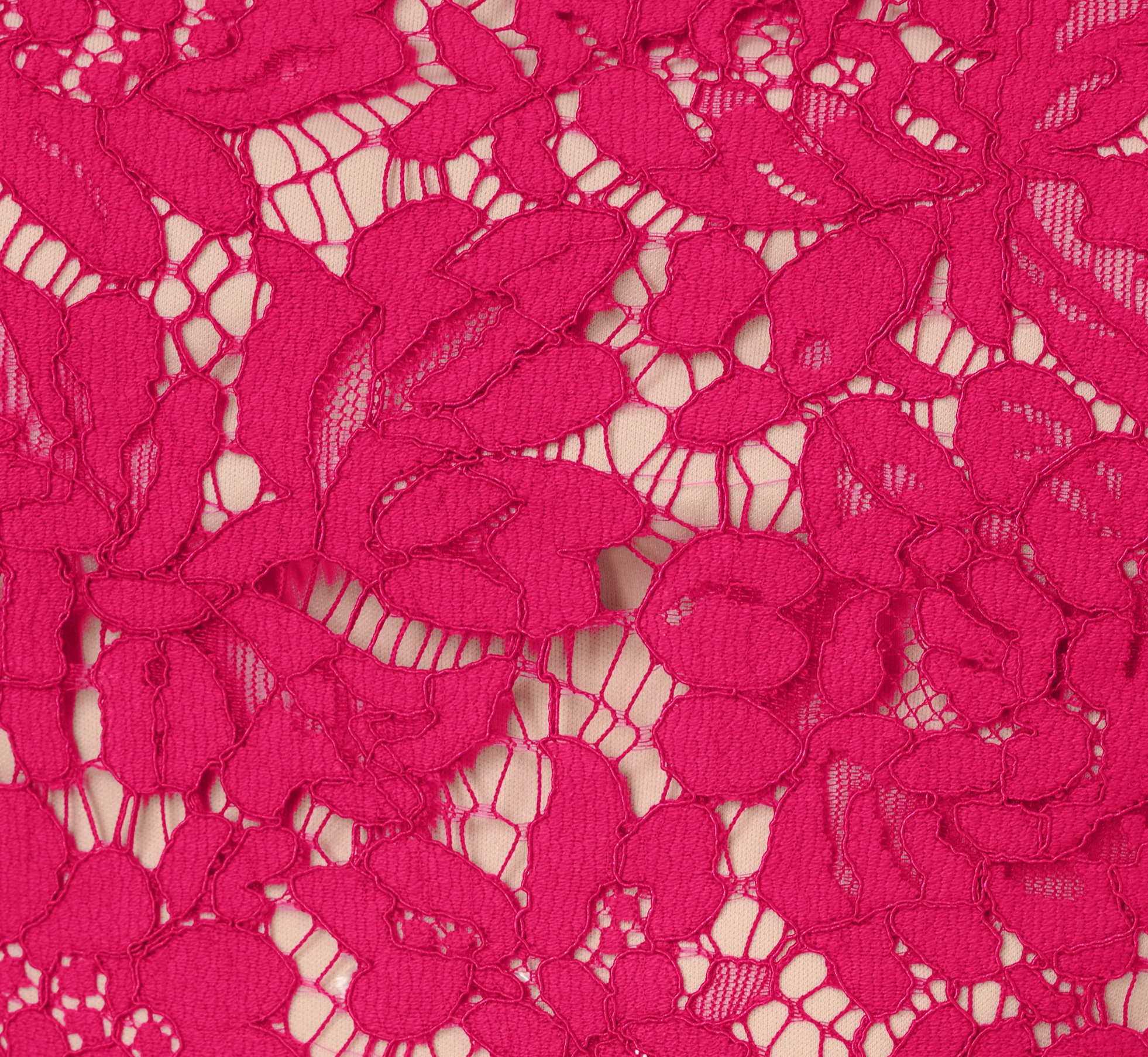 Sleeveless Lace Fit And Flare Dress With Sheer Details In Tropical Pink - Image 6